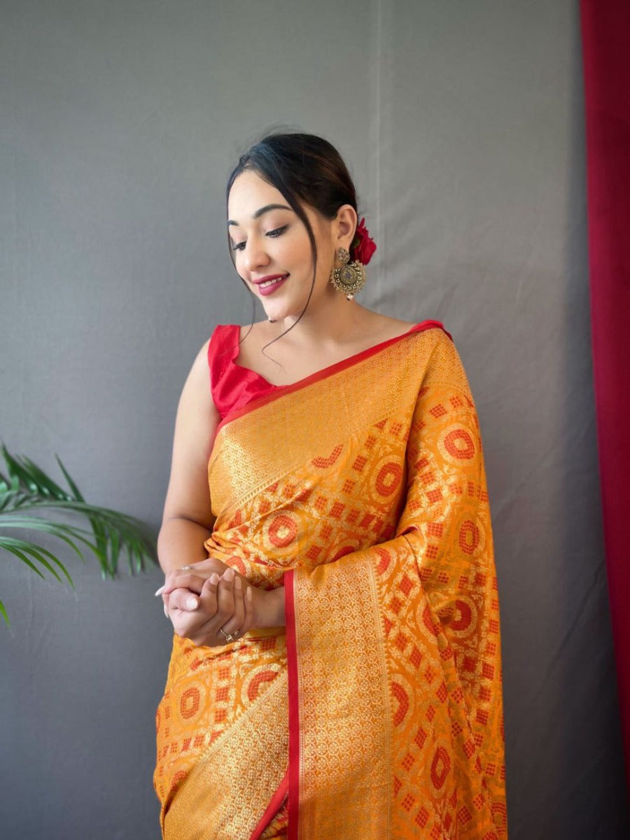 PURE PATOLA SILK SAREE WITH ALL OVER WEAVED DESIGN.