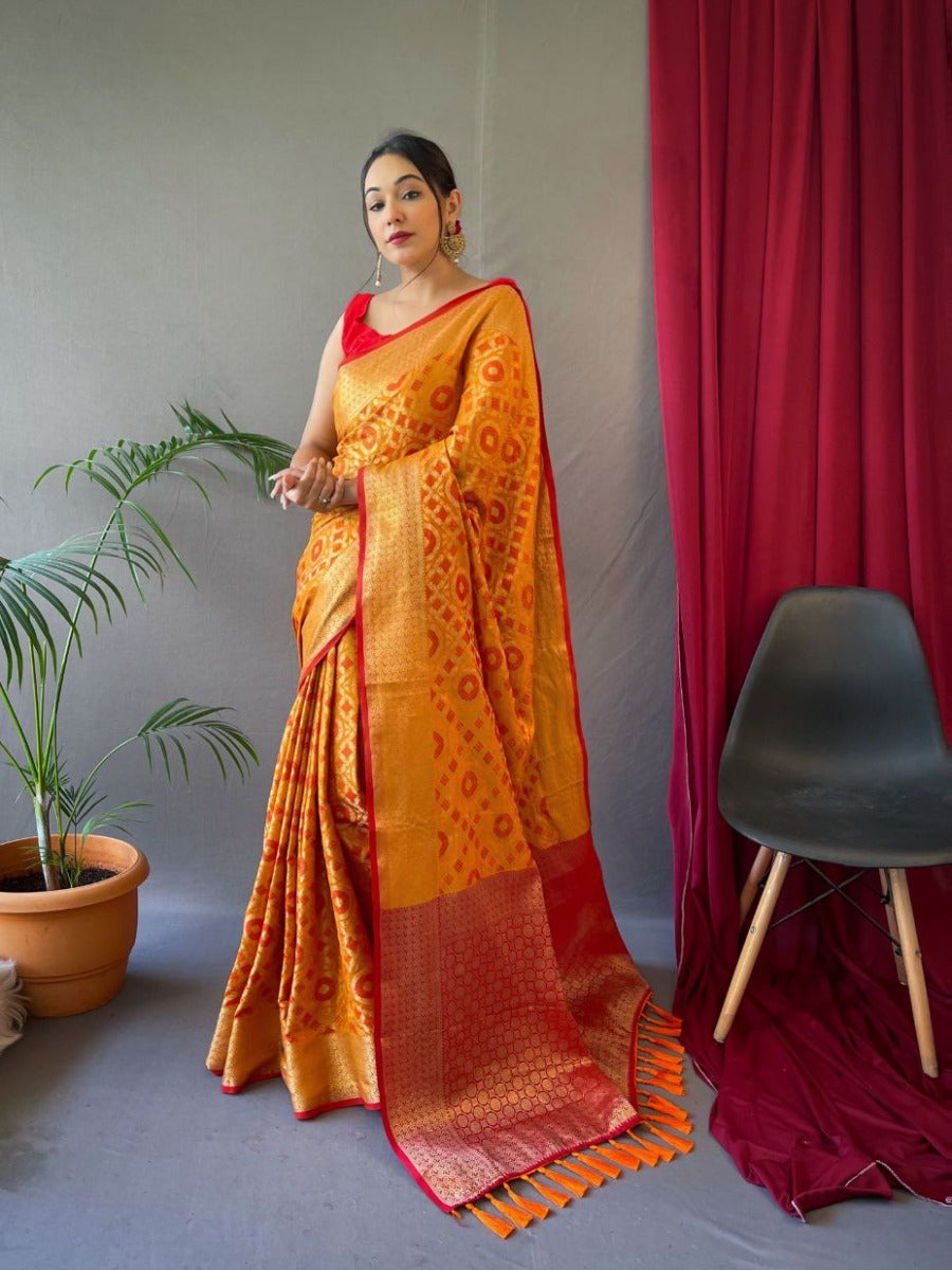 PURE PATOLA SILK SAREE WITH ALL OVER WEAVED DESIGN.