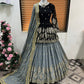 Launching New Designer Wedding Wear Look Top-Lehenga & Dupatta Set.